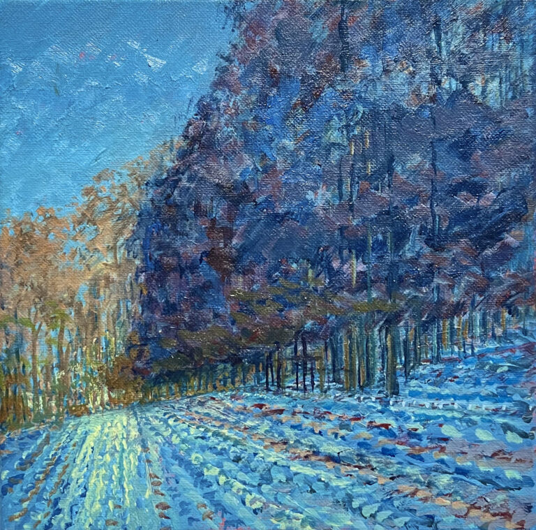 12. Lorton
10x10
$500